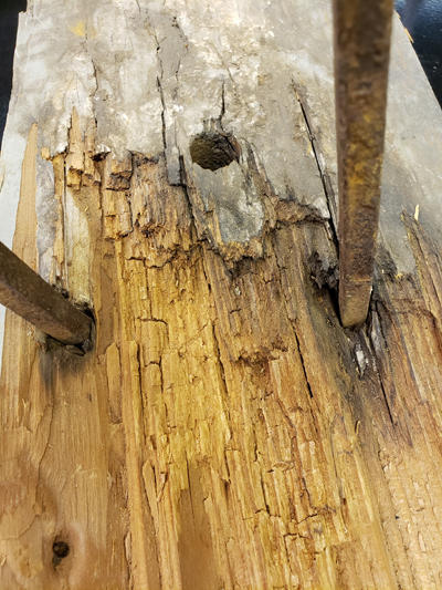 Brown rot in timber at site of moisture accumulation. This was a wooden stadium bleacher