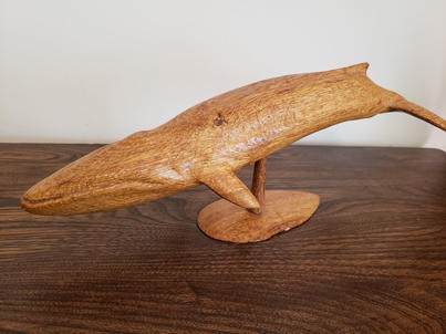 This is a whale carving was made from oak with white pocket rot.