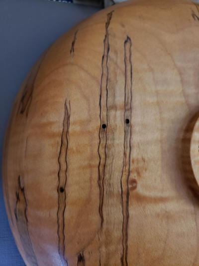 Ambrosia beetle tunnels and blue stain fungi in maple.