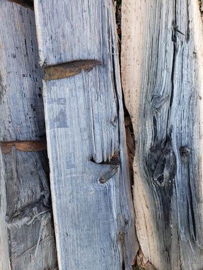 Split sections of oak pilings used for a dock. Iron fasteners were used and the iron caused very dark iron-tannic staining throughout the inside of the oak wood. The rust colored holes are where the fasteners were located.