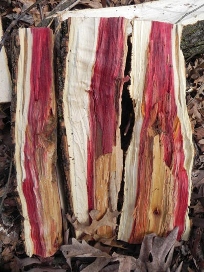 Split box elder wood with red stain is even more striking with its bright red coloration.