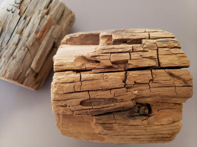 Another example of soft rot. This wood is a section of a timber from a a Pueblo dwelling in Chaco Canyon, a dry desert site in New Mexico (studied in collaboration with the US National Park Service).