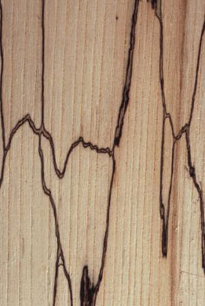 The zone lines produced interesting patterns in wood. 